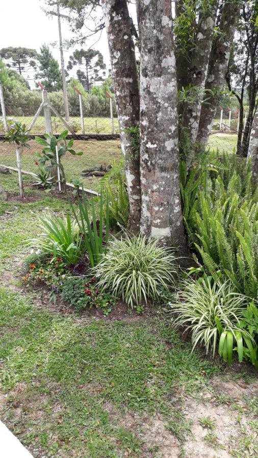 Recanto Do Saiqui Canela Kültér fotó